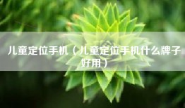 儿童定位手机(儿童定位手机什么牌子好用)