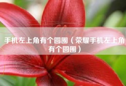 手机左上角有个圆圈（荣耀手机左上角有个圆圈）