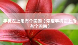 手机左上角有个圆圈（荣耀手机左上角有个圆圈）