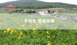 手持机 数据采集