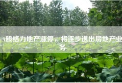 A股格力地产涨停，将逐步退出房地产业务