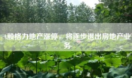 A股格力地产涨停，将逐步退出房地产业务
