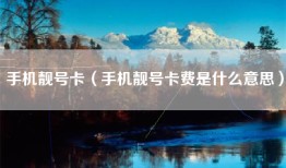 手机靓号卡（手机靓号卡费是什么意思）