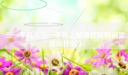 三一手机（三一手机上能查挖机时间定位叫什么）
