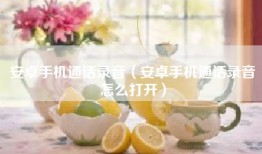 安卓手机通话录音（安卓手机通话录音怎么打开）