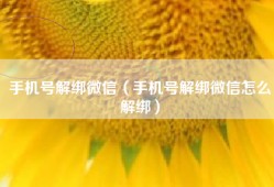 手机号解绑微信（手机号解绑微信怎么解绑）