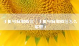 手机号解绑微信(手机号解绑微信怎么解绑)