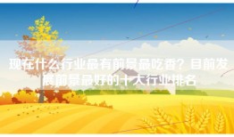 现在什么行业最有前景最吃香？目前发展前景最好的十大行业排名