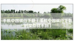 手机中国银行下载（手机中国银行下载的文件找不到）