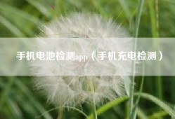 手机电池检测app（手机充电检测）