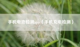 手机电池检测app（手机充电检测）