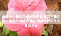 南昌十大非物质文化遗产 南昌著名非物质文化遗产有哪些 南昌市具有代表性的非遗项目