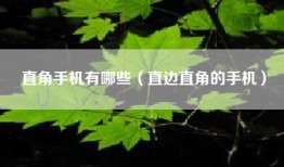 直角手机有哪些（直边直角的手机）