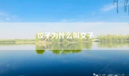 饺子为什么叫交子