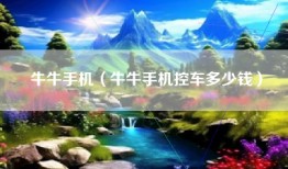 牛牛手机（牛牛手机控车多少钱）