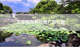 北京磁力智投推广怎么做