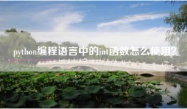 python编程语言中的int函数怎么使用？
