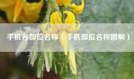 手机各部位名称（手机部位名称图解）