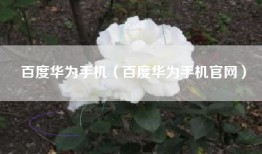 百度华为手机（百度华为手机官网）