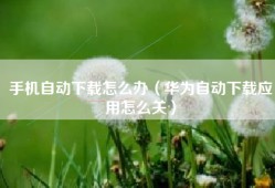 手机自动下载怎么办（华为自动下载应用怎么关）