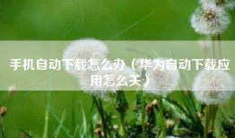 手机自动下载怎么办（华为自动下载应用怎么关）