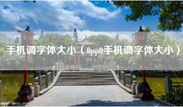 手机调字体大小（0pp0手机调字体大小）