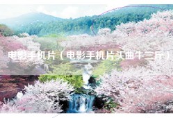 电影手机片（电影手机片头曲牛三斤）