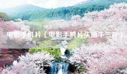 电影手机片（电影手机片头曲牛三斤）