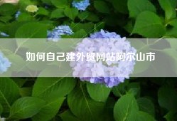 如何自己建外贸网站阿尔山市