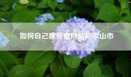 如何自己建外贸网站阿尔山市