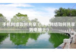 手机网络如何共享（手机网络如何共享到电脑上）