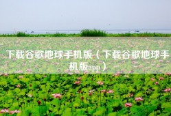 下载谷歌地球手机版（下载谷歌地球手机版app）