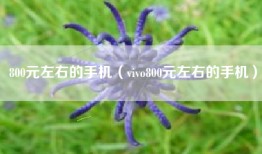 800元左右的手机（vivo800元左右的手机）