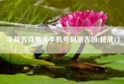 手机吉祥号（手机号码测吉凶(超准)）