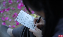 李子柒“三连更” 全平台播放量破5亿人次