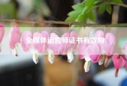 全媒体运营师证书有效期