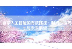 自学人工智能的有效路径：时间、技巧与未来展望