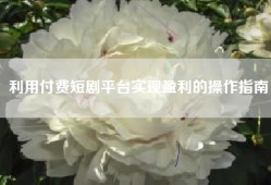 利用付费短剧平台实现盈利的操作指南