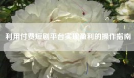 利用付费短剧平台实现盈利的操作指南