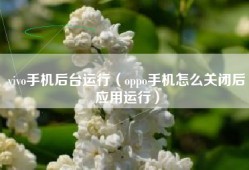 vivo手机后台运行（oppo手机怎么关闭后应用运行）
