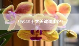 A股2021十大关键词出炉！