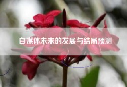 自媒体未来的发展与结局预测