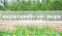 网站定制公司哪家好一点的【网站定制公司该怎么选择】