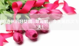 咱沧州的好女婿--景海鹏，今天第四次飞天！