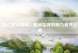 推广策略解析，揭秘品牌影响力提升之道