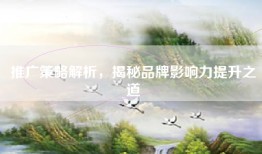 推广策略解析，揭秘品牌影响力提升之道