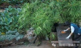 从李子柒到邓超予，她们用实际行动守护非遗之美