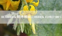 BEARBRICK 积木熊BE@RBRICK FLOR@400％