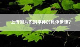上传图片识别字体的具体步骤？