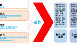 如何实现数字化平台跨界融合增值？